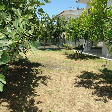Villa Antheia'S House Nea Skioni Exterior foto